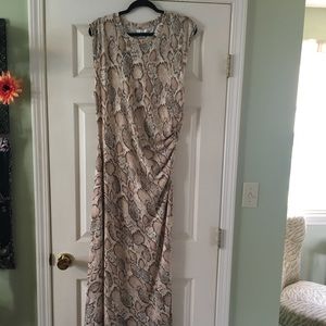 Fourteenth Place - Snakeskin Maxi Dress